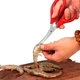 Ножницы для креветок FOD Shrimp Tool - изображение 2