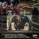 Резинки для подтягивания и тренировок UP & FORWARD Петли 5 шт. 3 - 55 кг UF1000 - изображение 8