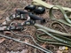 Резинки для подтягивания и тренировок UP & FORWARD Петли 5 шт. 3 - 55 кг UF1000 - изображение 9