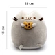 Мягкая игрушка Пушин с печенькой Pusheen 15 см CH PH 01 - изображение 2