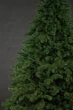 Ялинка лита "Ковалівська" Зелена 2,30 м (SG4829221200237) ТМ SigaGroup - зображення 5