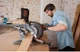 Пила торцювальна Black+Decker BES700 - зображення 3