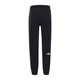 Мужские штаны The North Face Nse Pant L Черный NF0A4SVQJK31 - изображение 2