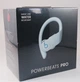 Наушники Beats by Dr. Dre Powerbeats Pro Glacier Blue - изображение 1