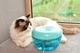 Фонтан-поїлка для котів і собак PAWOOF 1.5L з фільтром, Зелений (006-GREEN) - зображення 9