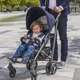 Прогулочная коляска Chicco Lite Way 3 Top Pied Poule (79599.35) - изображение 9