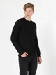 Джемпер мужской Colin's CL1056032 S Black (8682240955344) - изображение 4
