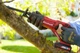 Сабельная пила Einhell TE-AP 18 Li - Solo (4326300) - изображение 4
