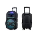 Автономная акустическая система BIG310BAT USB/MP3/FM/BT/TWS + 2pcs VHF mic - изображение 2
