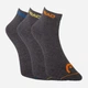 Набор мужских носков HEAD Quarter 3Р Unisex 761011001-002 39-42 р 3 пары Темно-серый (8718824970387) - изображение 1