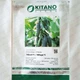 Семена огурцов Kitano Seeds Нибори f1 (кс 90 f1) 250 семян - изображение 4