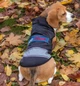 Жилетка для собак DogClub Sven L Black-Blue - зображення 2