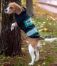 Жилетка для собак DogClub Sven L Black-Green - изображение 3
