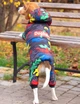 Комбінезон для собак Dog Baby Hunter XXL Blue - зображення 3