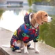 Комбінезон для собак Dog Baby Hunter XXL Blue - зображення 5