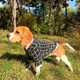 Худи для собак DogClub Spider S Grey - изображение 1