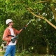 Высоторез электрический цепной Bosch UniversalChainPole 18 (06008B3100) - изображение 4