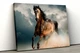 Картина на холсте Бегущий конь51x34 см (100) - изображение 1