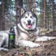 Вакуумний Термос Harmony Black Comfort 1 л. (Комплектація Комфорт) - зображення 12