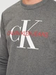 Світшот на флісі чоловічий Calvin Klein Jeans 10836.2 M (46) Сірий - зображення 4