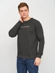 Свитшот на флисе мужской Tommy Hilfiger 10839.3 S Темно-серый - изображение 1