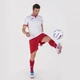 Футболка Joma TOLETUM II бело-красная S 101476.206 - изображение 5