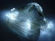 Гирлянда сетка 240L прозрачный провод холодный белый свет (1.5Mх1.5M) 165-CL158W - изображение 1