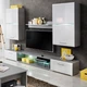 Стенка в гостинную Spinks для TV с диагональю 43" (WFR-115487) - зображення 1