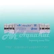 Магнитный фильтр 1/2" MD 20. AquaKut - изображение 1