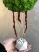 Дерево со стабилизированым мхом и амарантом MiNature Moss 30 см - изображение 2
