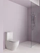 Унітаз-компакт Laufen Pro з сидінням Soft Close (H8679530008701) - зображення 4
