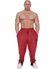 Штаны спортивные Big Sam 1183 красные размер 2XL - изображение 2