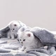 Мягкий новогодний плед - одеяло Apriori светящееся в темноте 160x180 см (Grey) - изображение 2