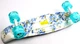 Пенні борд (Penny Board) 22" зі світними колесами, Full "Flowers" - зображення 5