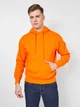 Худи мужское Fruit of the loom 62208044 XL Оранжевое (5000000088239) - изображение 1