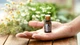 Эфирное масло doTerra Roman Chamomile / Римская Ромашка 5ml - изображение 4