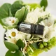 Эфирное масло doTerra Melissa / Мелисса 5ml - изображение 4