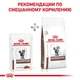 Royal Canin Gastro Intestinal Feline, лечебный корм, 100 гр упаковка, (12 шт) - изображение 4