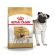 Сухой корм Royal Canin для мопсов старше 10 месяцев Breed PUG ADULT 500 г BGL-RC-89 - изображение 1