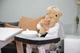 Силиконовый поднос на столик Childhome Evolu White (CHEVOTSIL) - изображение 11