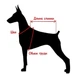 Комбинезон для собак Ideapet FrenchBulldog S Red - зображення 4