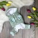 Комбинезон для собак Dog Baby Lovely XXL Mint - изображение 1