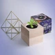 Экокуб Flora Cube Фиалка - изображение 1