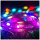 Гірлянда ColorWay Smart LED RGB WiFi + Bluetooth 10M 66LED IP65 (CW-GS-66L10UMC) - зображення 4