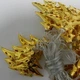 Прямая гирлянда Золотые елочки metal 20Led 4м на прозрачном проводе (Теплый белый свет) - изображение 4