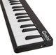 MIDI контролер і MIDI клавіатура ALESIS QMINI 221100 - зображення 2