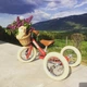 Комплект Трехколесный балансирующий велосипед Trybike рубиновый (TBS-2-RED-VIN+TBS-100-TKV) (2000065889013) - изображение 16