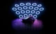 Мышь Xtrfy M4 RGB Wireless Black (M4W-RGB-BLACK - изображение 10