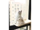 Лежанка для кота віконна Sunny Seat Window Cat Bed 164-137821 - зображення 2