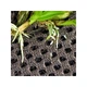 Підкладка Wacool Rainforest Plant Cotton XL 59х44 см WC-YZM001 для тераріума - зображення 5